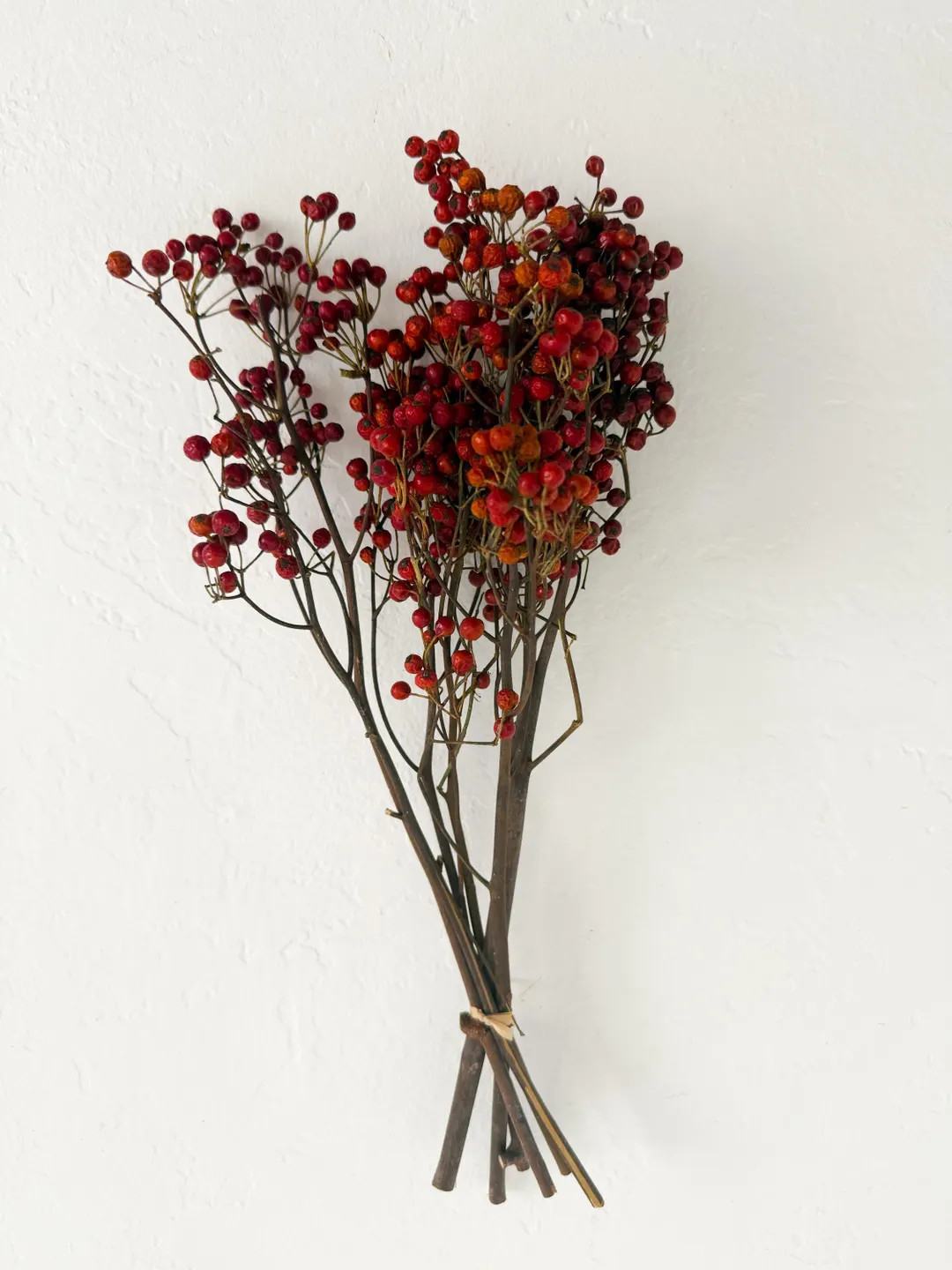 Dried Rose Berry Stems - Holiday Wreath Decor, 5 Stems - Etsy | Etsy (US)