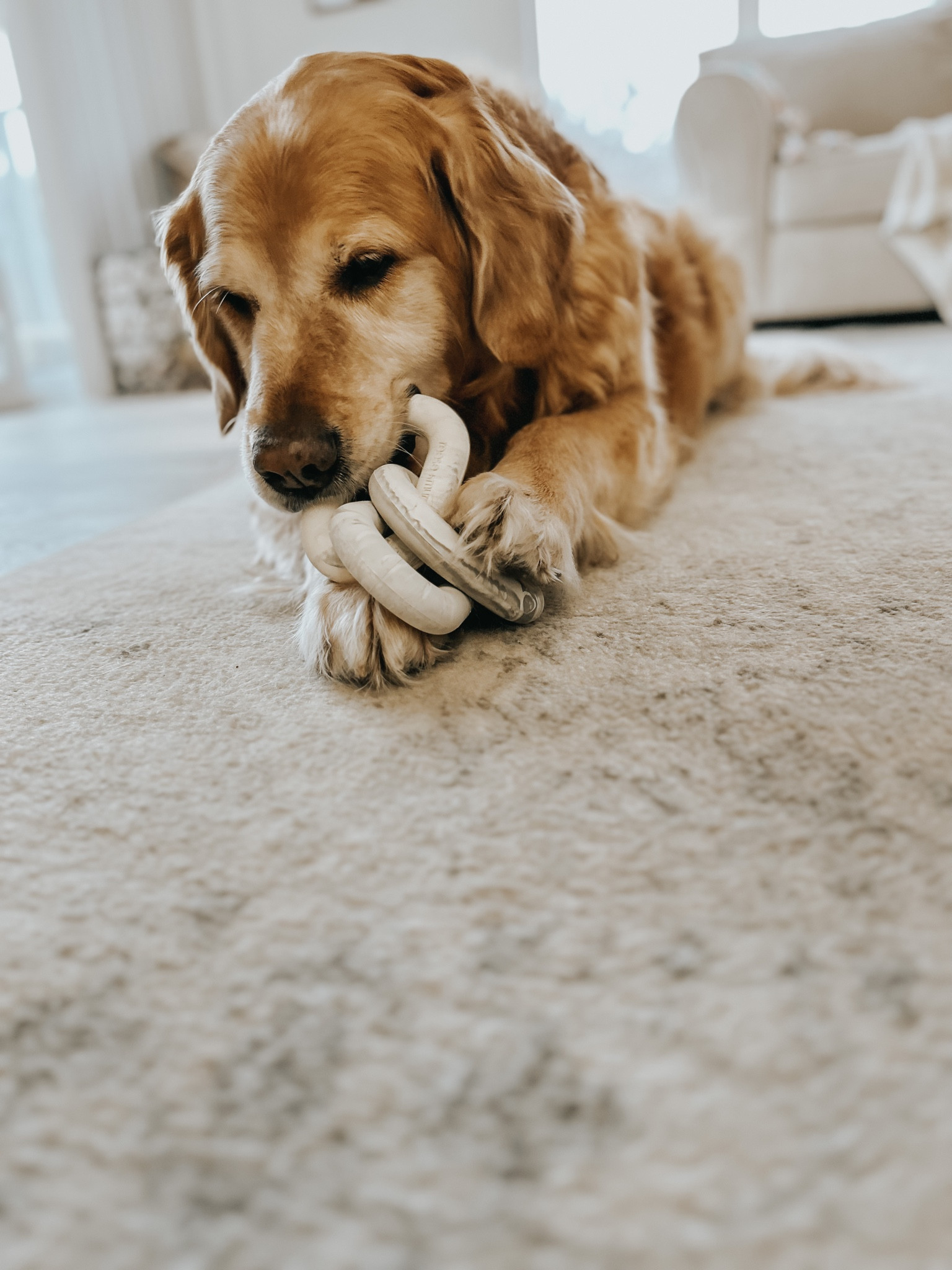 Finn and ford love their new Reese and Murphy toys 🤍

#LTKhome #LTKfamily #LTKGiftGuide