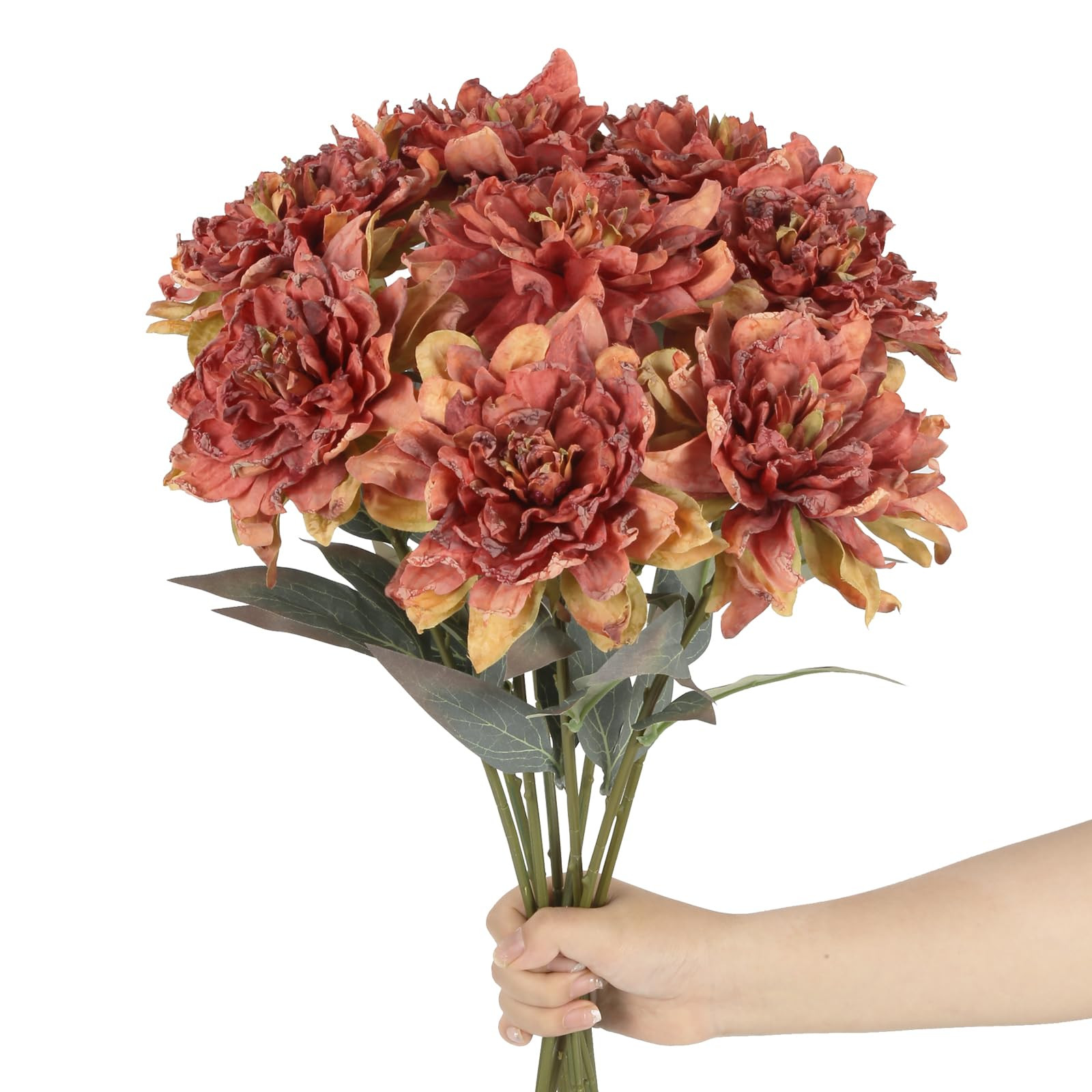 Rzoukler | Amazon (US)