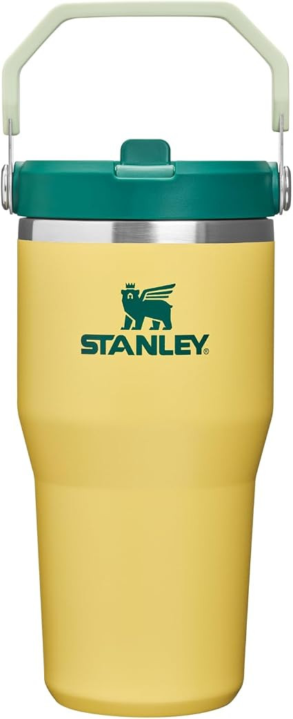 STANLEY IceFlow 2.0 Flip Straw Tumbler with Handle 20 oz | Twist On Lid and Flip Up Straw | Leak ... | Amazon (US)