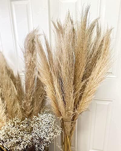 Emir&Odin 45" inch 15 Stems Natural Dried Pampas Grass – Tall, Large and Fluffy, No Shedding No... | Amazon (US)