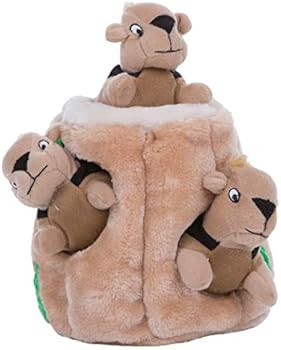 Outward Hound Hide-A-Squirrel Squeaky Puzzle Plush Dog Toy - Hide and Seek Activity for Dogs | Amazon (US)