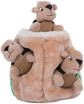 Outward Hound Hide-A-Squirrel Squeaky Puzzle Plush Dog Toy - Hide and Seek Activity for Dogs | Amazon (US)