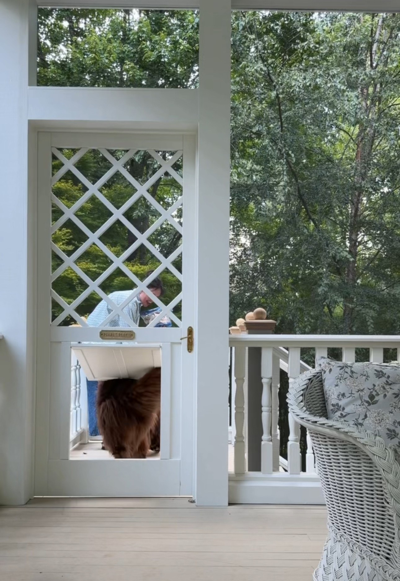 A very similar option to our custom made screened in door with dog door 🐾

#LTKHome