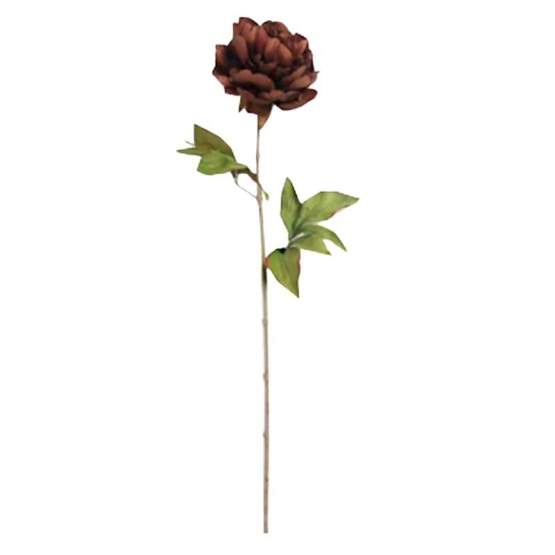 Brown Peony Stem, 28" | At Home