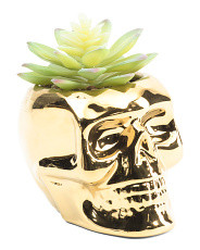 Succulent In Metallic Skull Decor | Marshalls