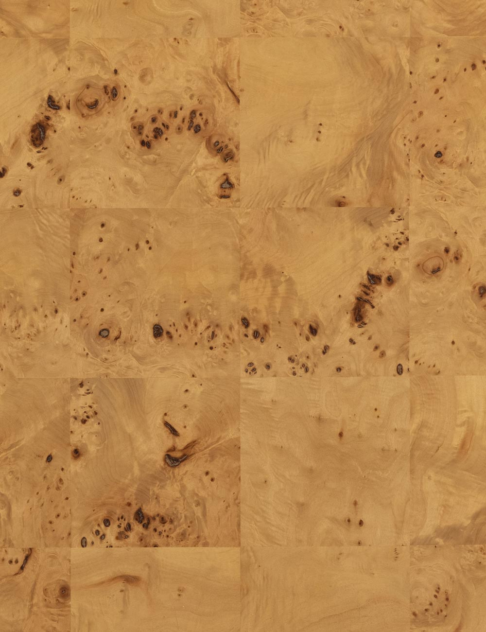 Martine Coffee Table | Lulu and Georgia 