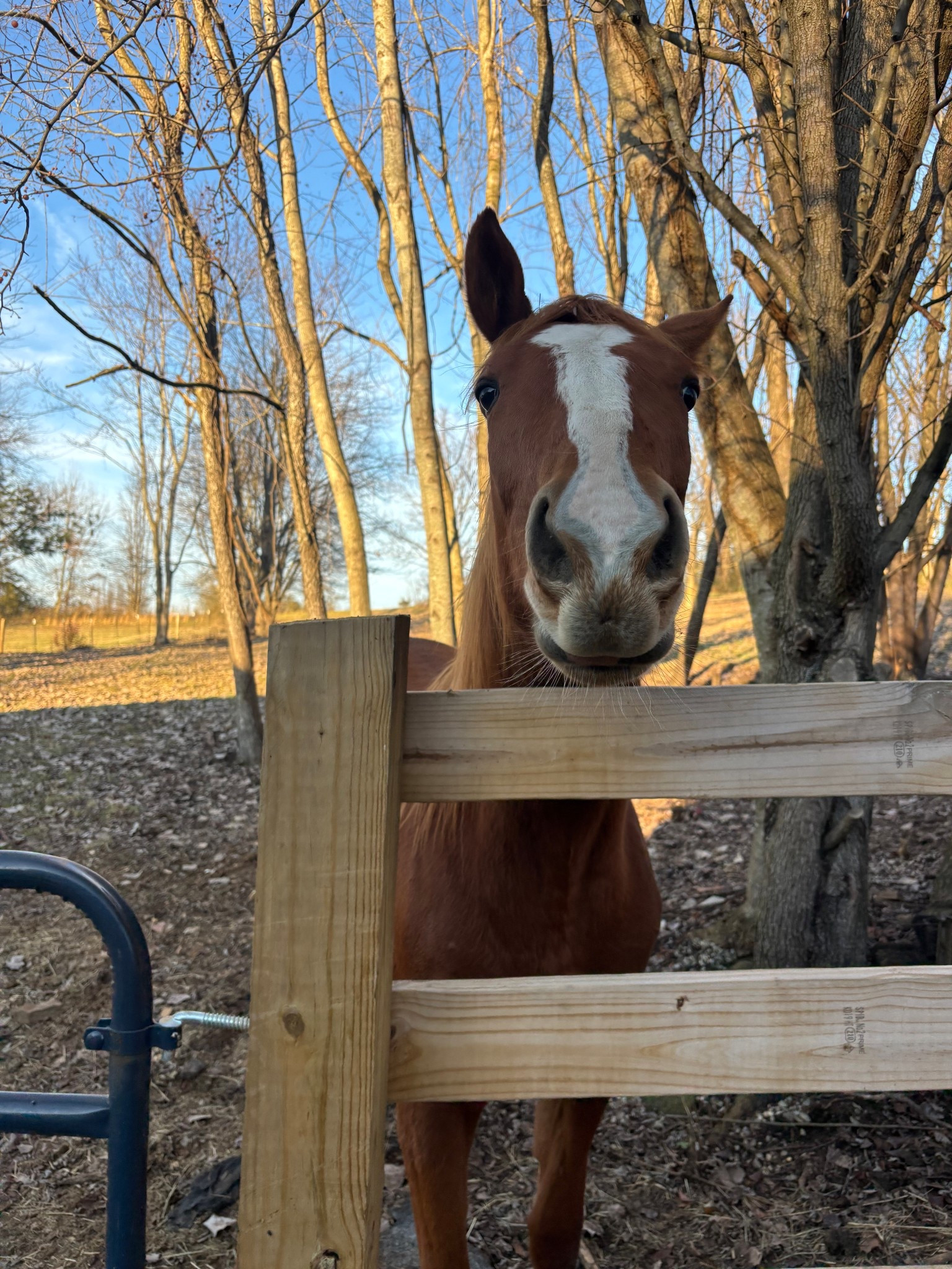 Baby!!!

#LTKmomlife #LTKdayinmylife #LTKHoliday