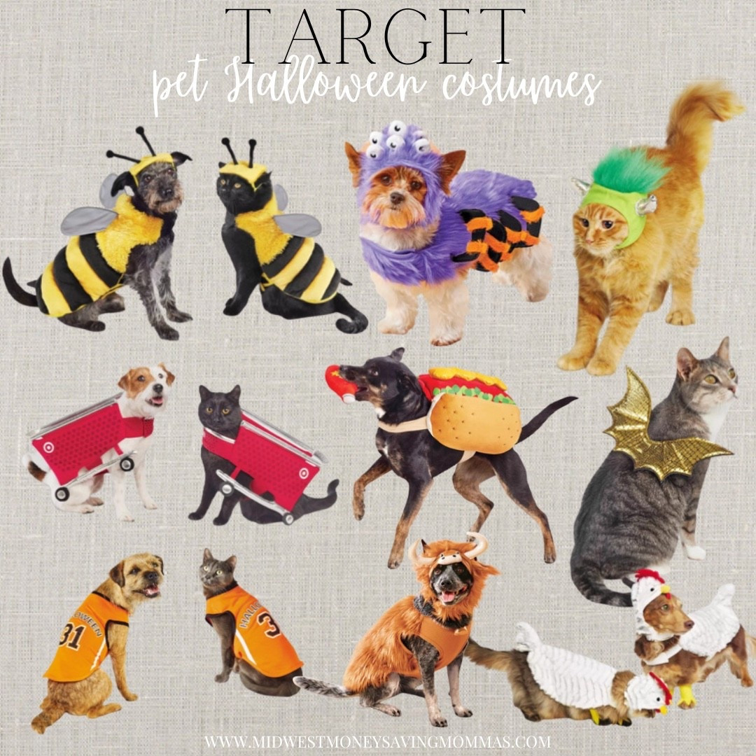 Pet Halloween costumes

Target finds trick or treating  happy Halloween  dog costume cat costume 

#LTKPets #LTKHalloween #LTKStyleTip