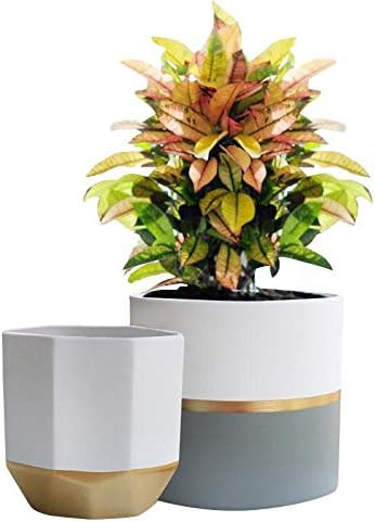 EXQUIS HOME White Ceramic Flower Pot Garden Planters 6.5 Inch Pack 2 Indoor, Plant Containers wit... | Amazon (US)