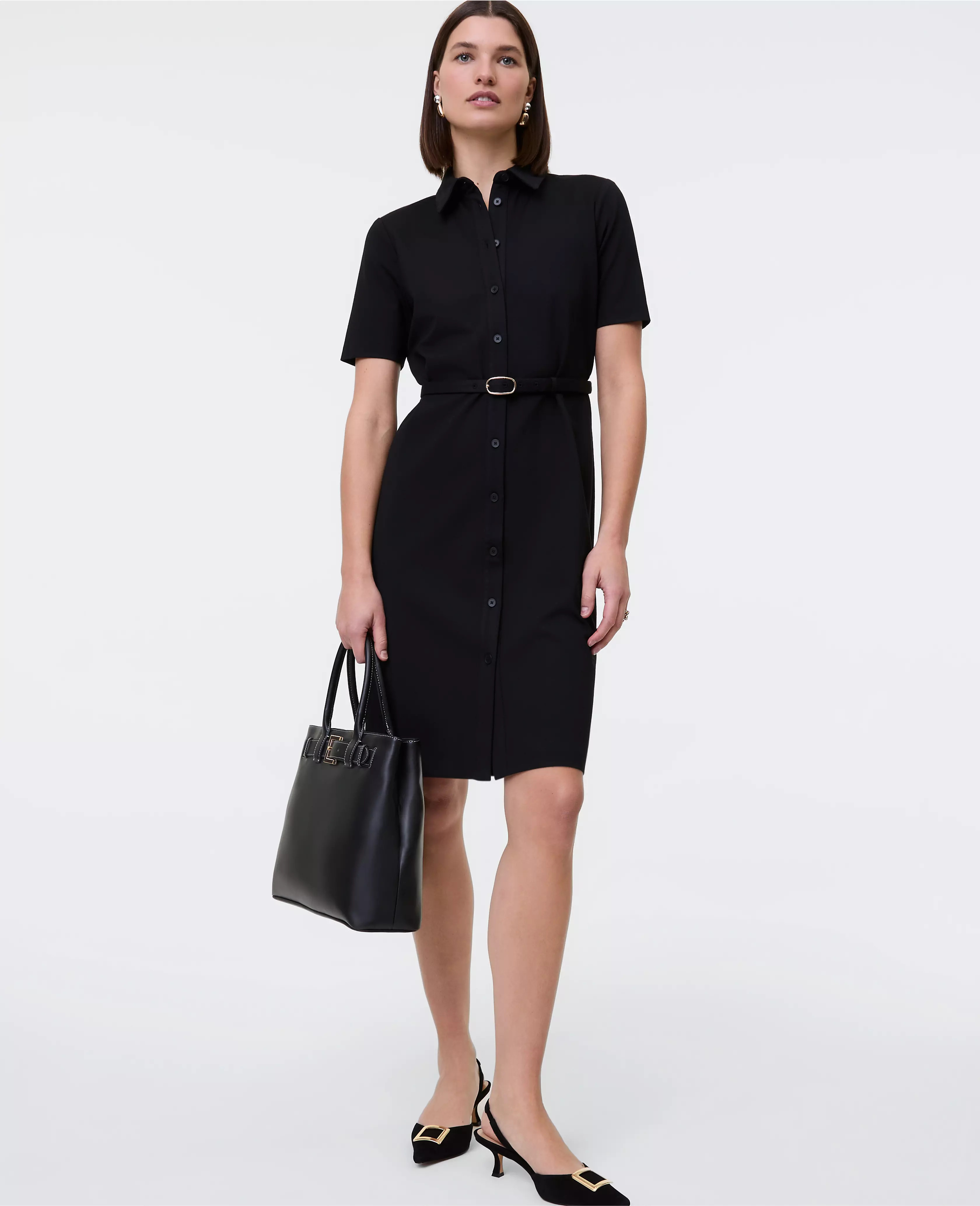Petite Ponte Belted Flare Dress | Ann Taylor