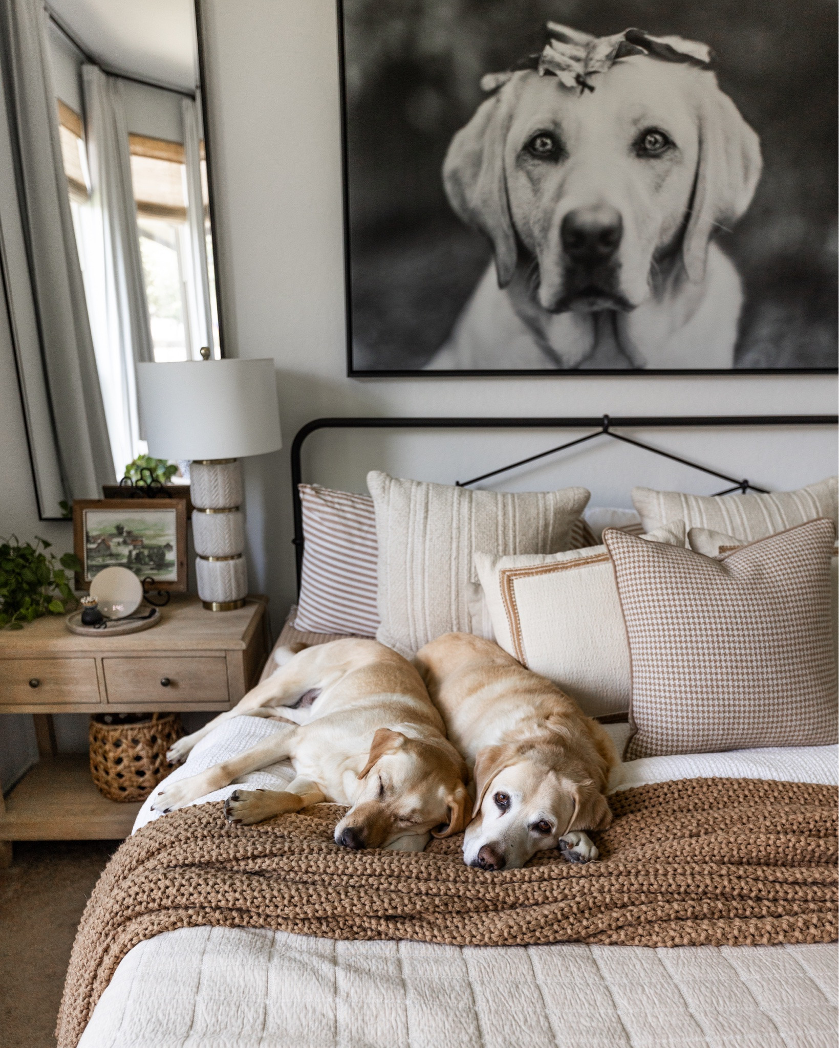 The chunky knit blanket everyone asks about is finally 30% off in all colors, and the nightstand is on sale too in the charcoal finish. Cozy, neutral, dog-friendly home decor is my love language. ✨

#LTKHome #LTKSaleAlert