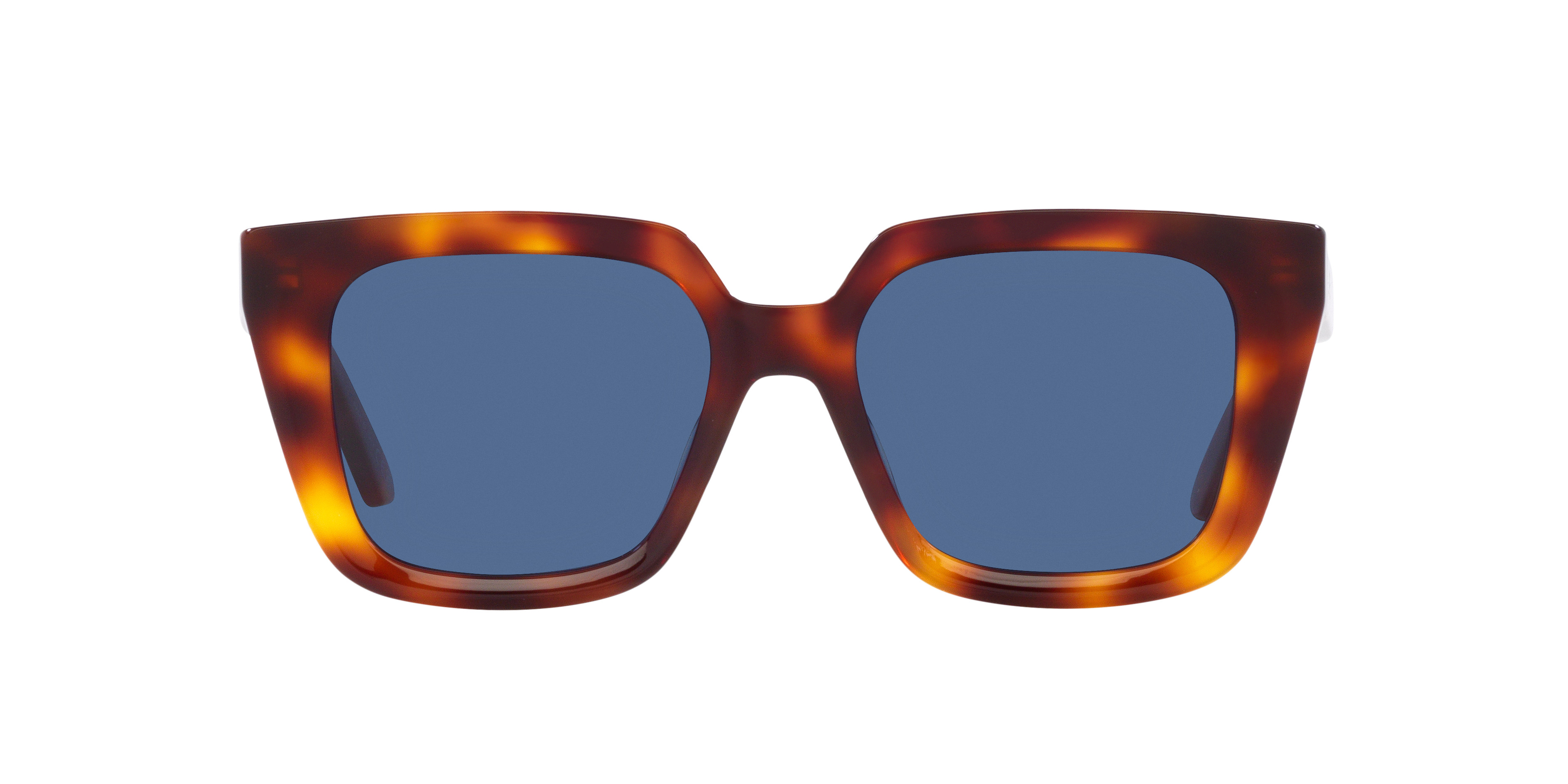 DiorMidnight S1 | Sunglass Hut (US)