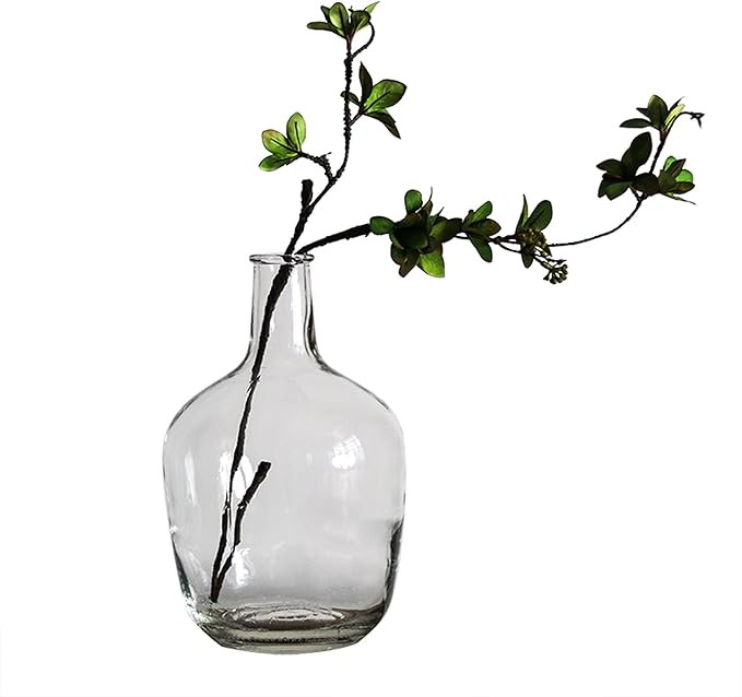 BUICCE Clear Glass Vases for Decor Large Bubble Vintage Floor Jug Vase for Branches Faux Artifici... | Amazon (US)