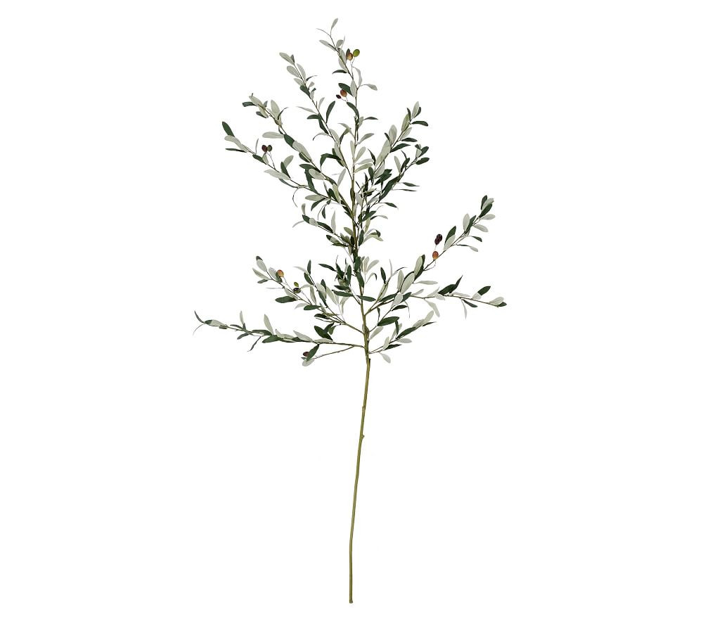 Olive Branch | Pottery Barn (US)
