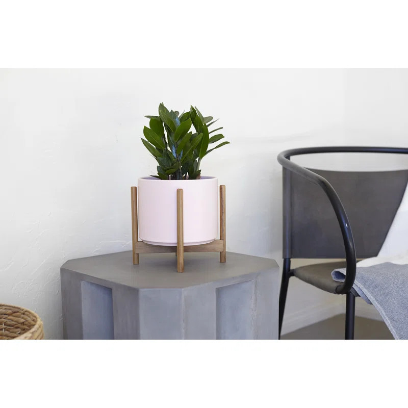 Riverside High-Fired Stoneware Pot Planter | Wayfair Professional