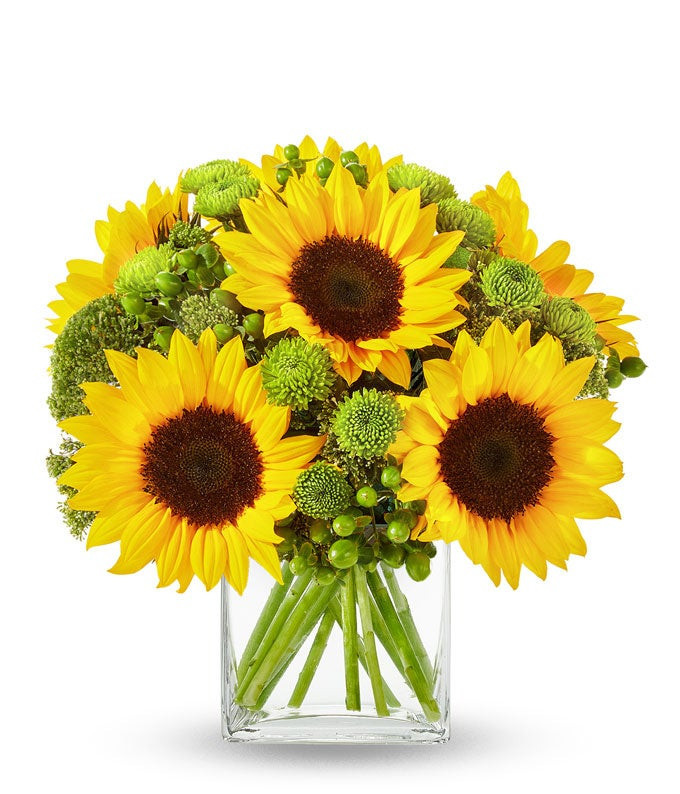 Sunflower Hills | From You Flowers