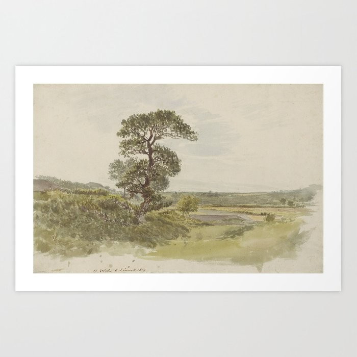 A Landscape in Snowdonia with a Tree in the Foreground by John Linnell, 1813 Art Print | Society6