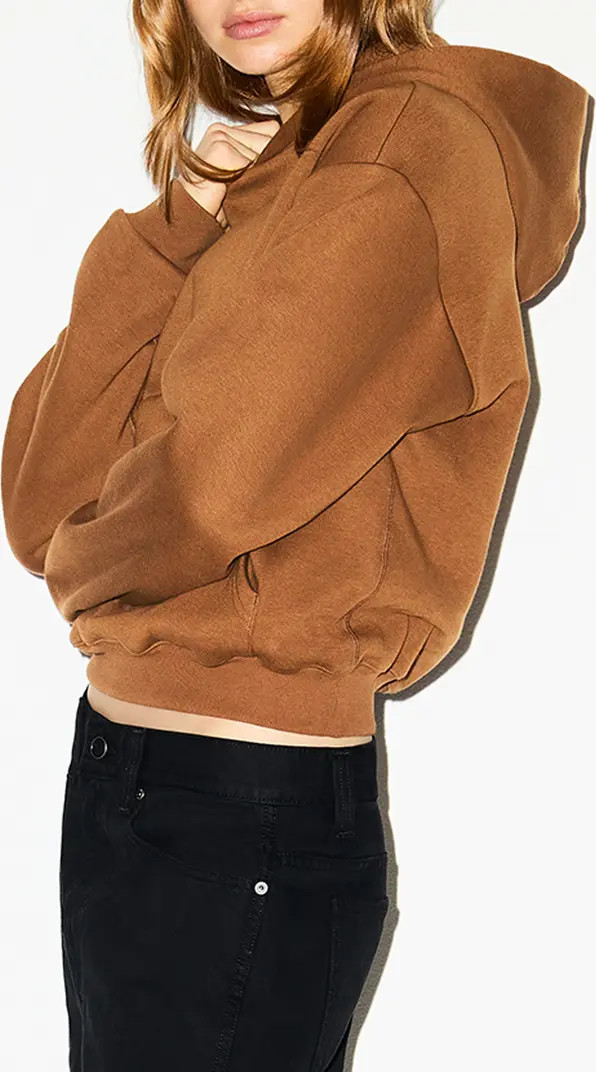 Cotton Fleece Blend Classic Hoodie | Nordstrom