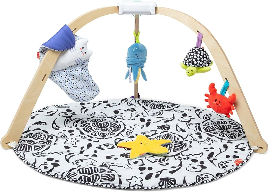 Melissa & Doug Ocean Easy-Fold Wooden Play Gym for Infants, Reversible Mat, 5 Soft Toys, Birth to... | Amazon (US)
