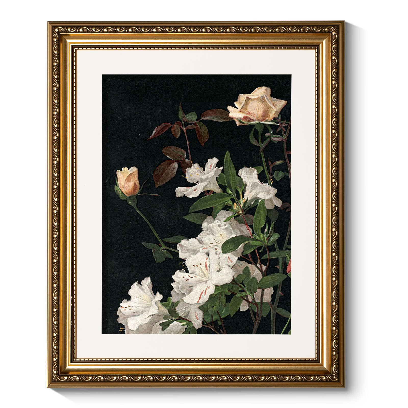 ARPEOTCY Vintage Gold Framed Floral Wall Art, 13x16 inch Classic Azaleas Roses Paintings, Victori... | Amazon (US)