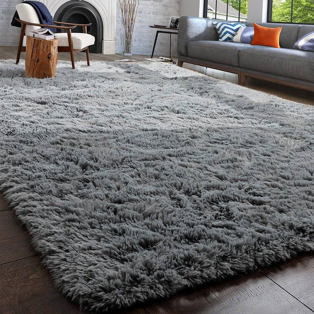 PAGISOFE Grey Area Rugs for Living Room Bedroom Rug, 5x8 Rug, Soft Plush Fluffy Rug for Dorm Room... | Amazon (US)