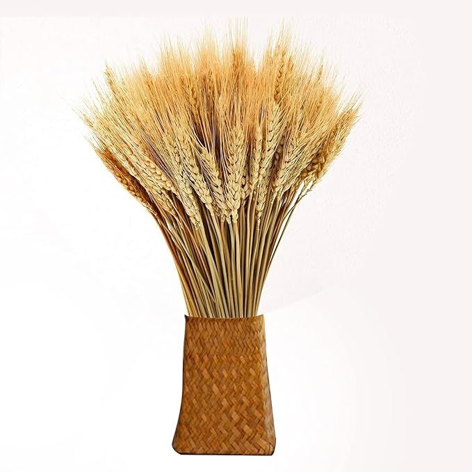Leerui Natural Dried Wheat Stalks,100 Stems Fall Harvest Wheat Bouquet Bunch for DIY Flower Arran... | Amazon (US)