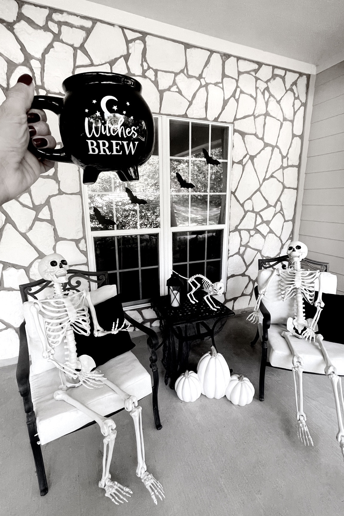 Halloween decor 
Skeletons 
Skeleton cat 
Witches brew mug 
Black pillow covers
Patio cushions
Walmart finds
Amazon finds 