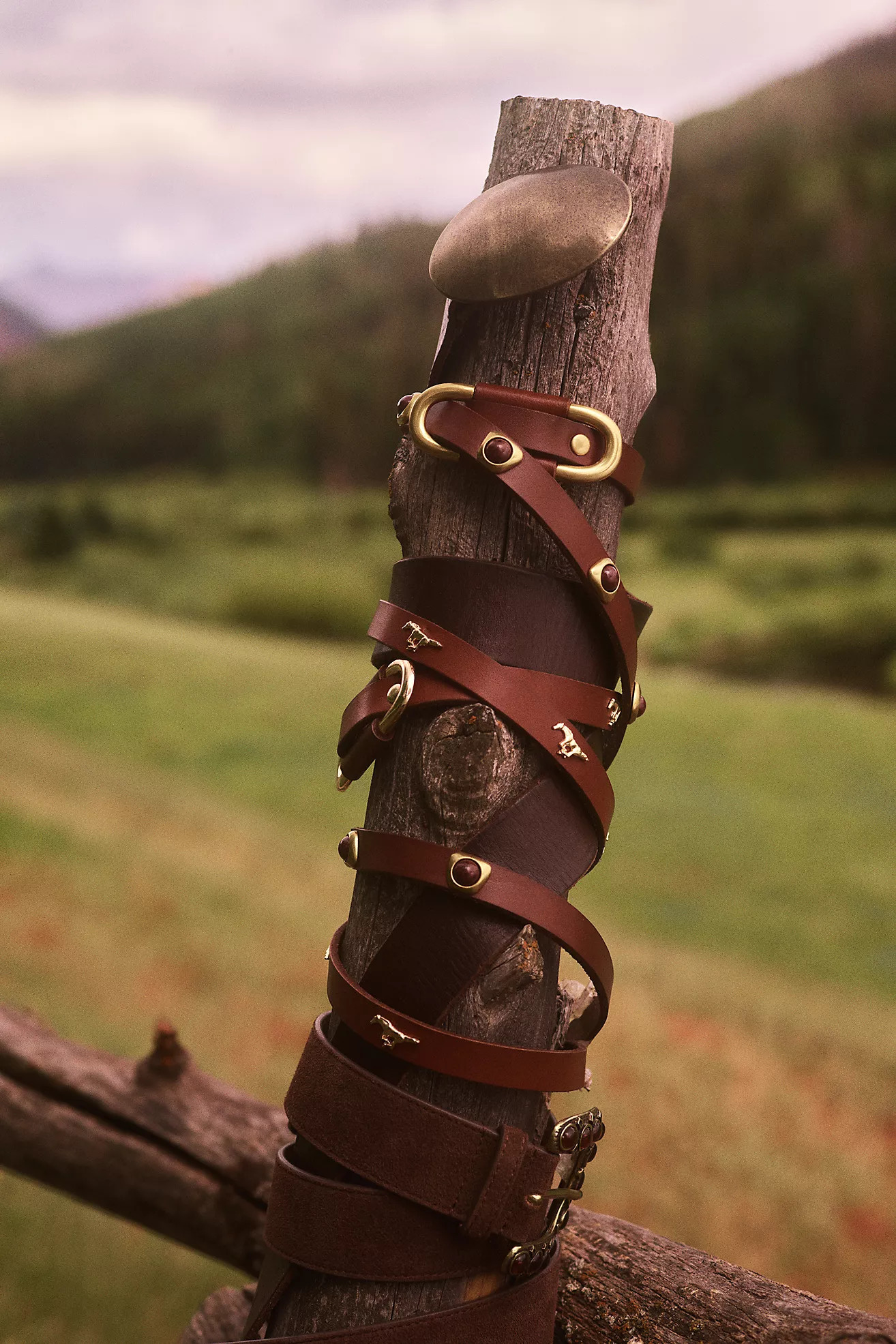 Blake Studded Belt | Anthropologie (US)