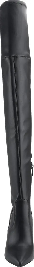 Garalyn Pointed Toe Over the Knee Boot (Women) | Nordstrom