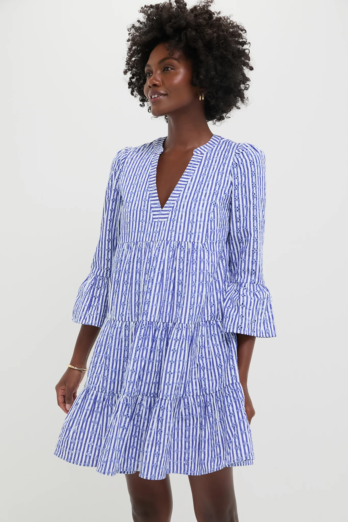 Blue Stripe Floral Embroidered Lanie Dress | Tuckernuck (US)