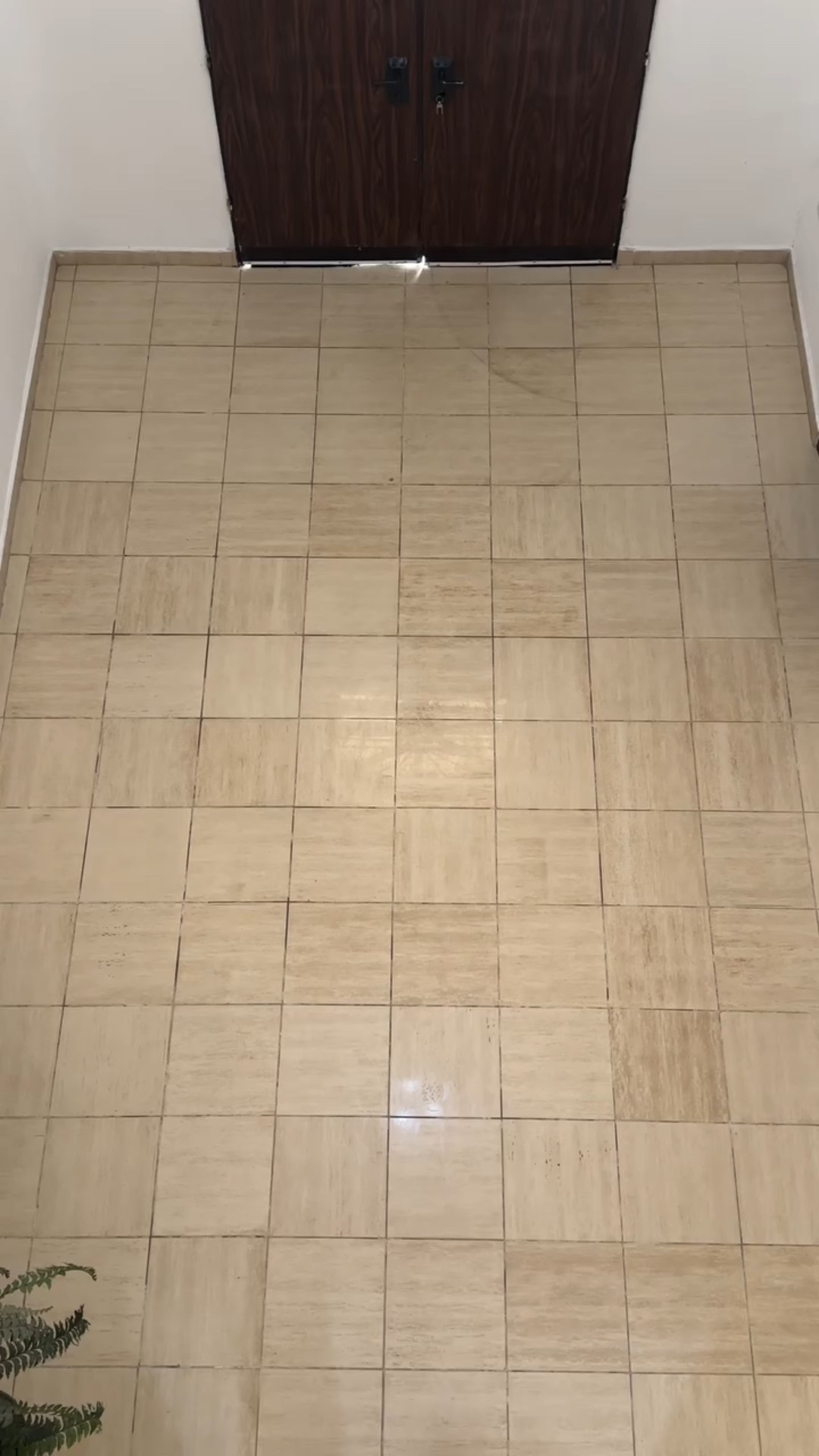 Apparently I have a very interesting taste in music… so I’m testing it out on you and turning my workouts into a playlist. 🎧
⁣
Day 1 of Madeline’s Sweat Playlist.⁣
Every song I work out to goes straight to the playlist so you can sweat to it too.⁣
⁣
Is this a gym song or not? 👀⁣
⁣
Workout fit⁣
Set: @437 
Sneakers: @nike @nikewomen 
⁣
Playlist: Madeline’s Sweat Playlist on Apple Music⁣
⁣
#workoutplaylist #gymmusic #fitnessreels #gymmotivation #workoutmusic⁣
⁣
𝘋𝘪𝘴𝘤𝘭𝘢𝘪𝘮𝘦𝘳: 𝘐’𝘮 𝘯𝘰𝘵 𝘢 𝘵𝘳𝘢𝘪𝘯𝘦𝘳 — 𝘐 𝘫𝘶𝘴𝘵 𝘸𝘰𝘳𝘬 𝘰𝘶𝘵 𝘵𝘰 𝘥𝘦-𝘴𝘵𝘳𝘦𝘴𝘴 𝘢𝘯𝘥 𝘦𝘯𝘫𝘰𝘺 𝘨𝘰𝘰𝘥 𝘮𝘶𝘴𝘪𝘤

#LTKfitnessgoals #LTKselfcare #LTKmorningroutine