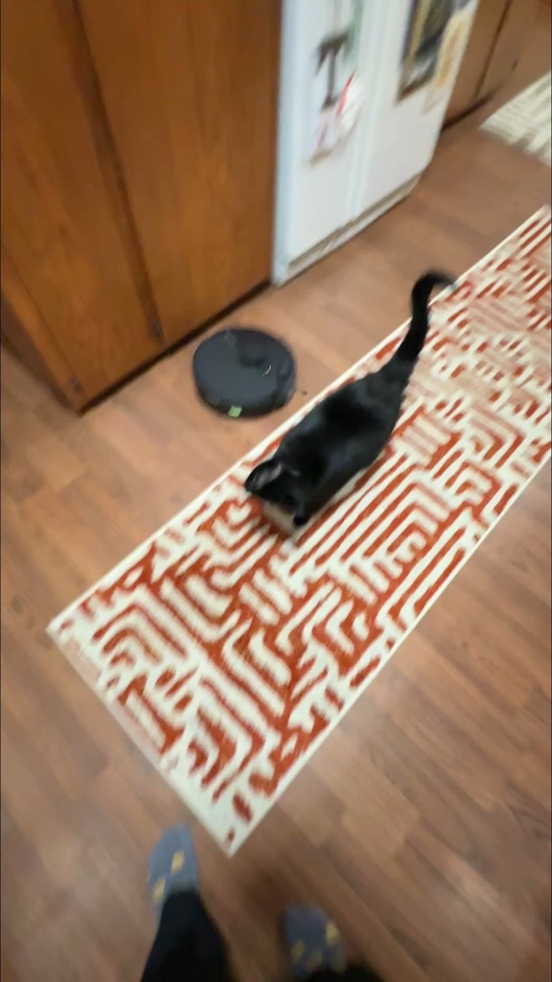 Roomba on massive sale!

#LTKselfcare #LTKHome #LTKdayinmylife