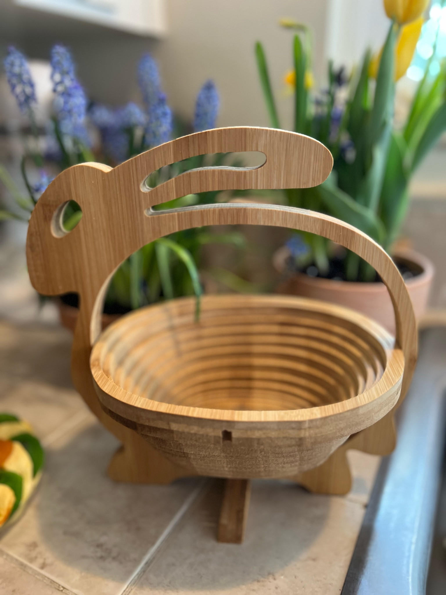 easter basket gift idea, easter fruit basket, easter candy basket

#LTKhome #LTKfindsunder50 #LTKSeasonal