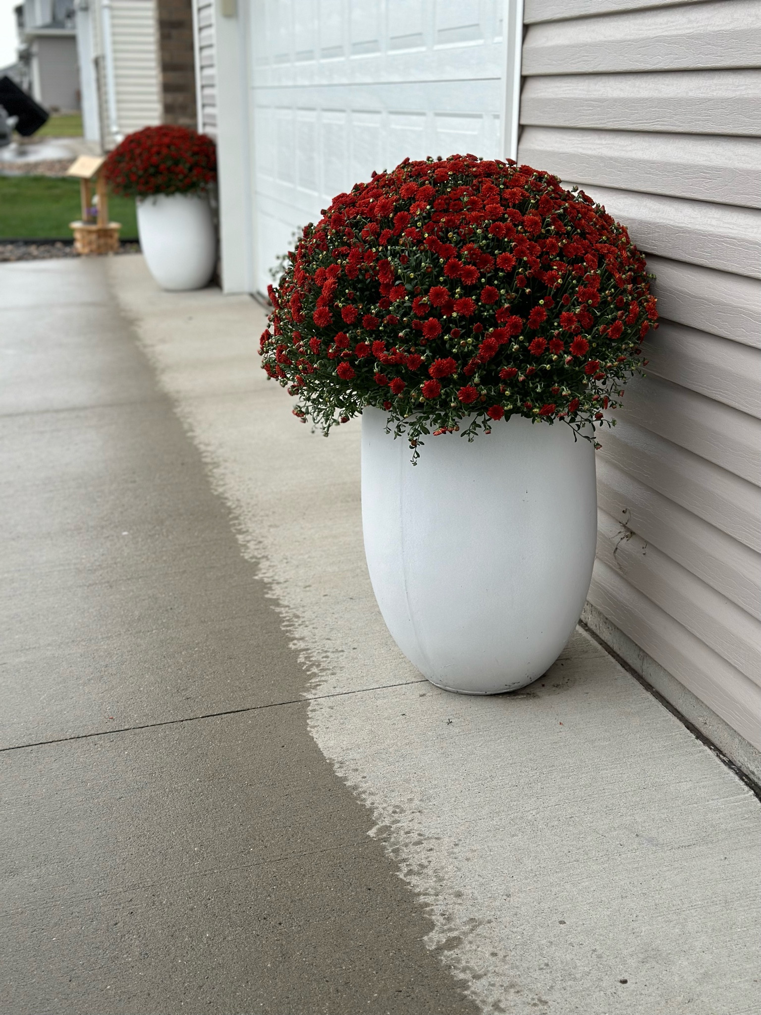 My favorite white concrete planter is on sale for $80! Works perfect for fall mums!

#LTKhome #LTKstyletip #LTKSeasonal