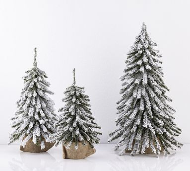 Flocked Mini Pine Tree | Pottery Barn (US)