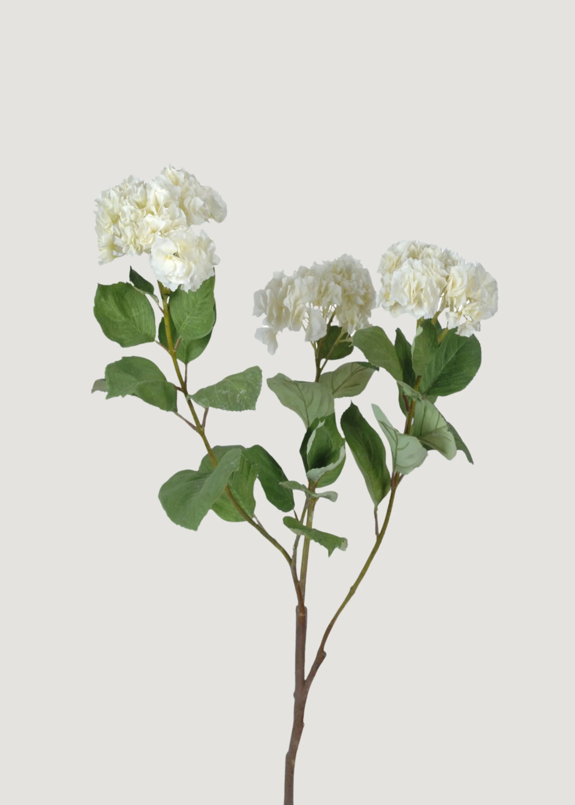 Cream Deluxe Hydrangea Branch | Lifelike Fake Flowers | Afloral | Afloral