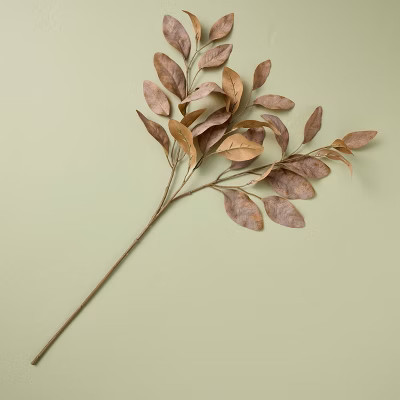 25" Rusted Eucalyptus Fall Stem - Hearth & Hand™ with Magnolia | Target