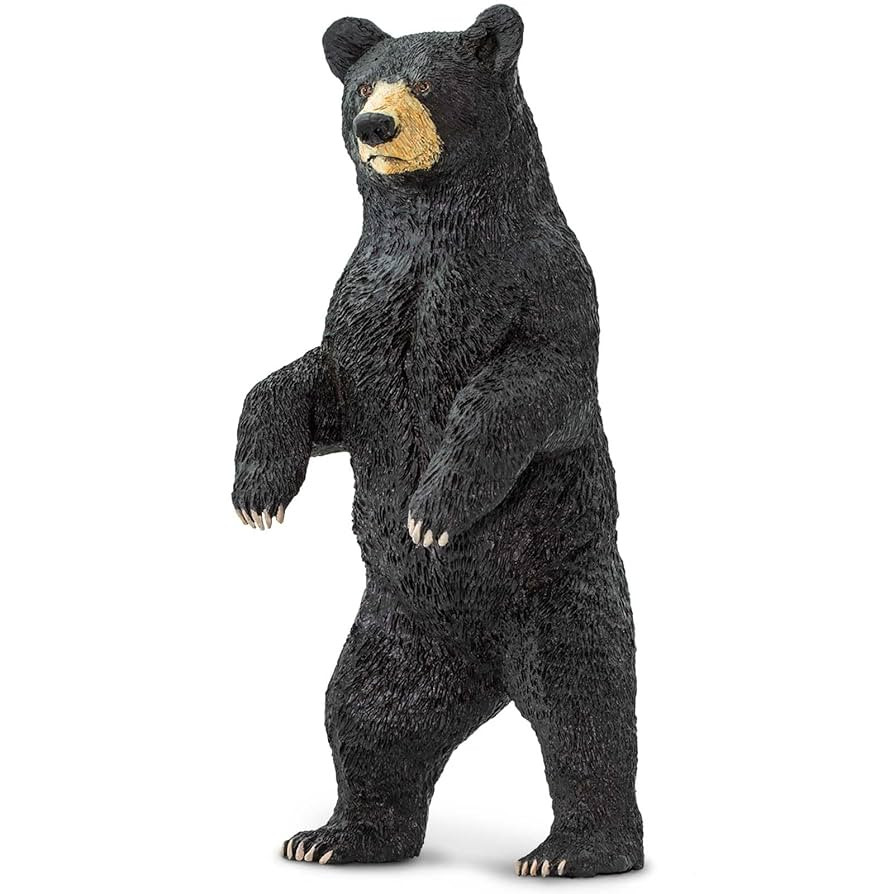 Safari Ltd. Standing Black Bear Figurine - Lifelike 4" Model Figure - Educational Toy for Boys, G... | Amazon (US)