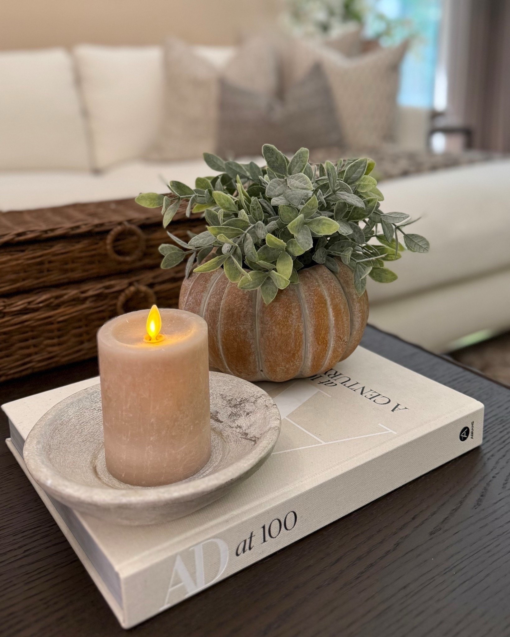 Cozy neutral moment on the coffee table 🍂
Follow @farmtotablecreations on Instagram for more home styling inspo!
This cement pumpkin planter adds the perfect touch of texture for fall, and I love how it pairs with the flameless candle and a design book for a layered, lived-in look. Simple, warm, and timeless.

#pumpkindecor #fallstyling #neutraldecor #livingroomdecor #coffeetabledecor #livingroomfurniture #pillows #rugs #sectional

#LTKHome #LTKSaleAlert #LTKSeasonal