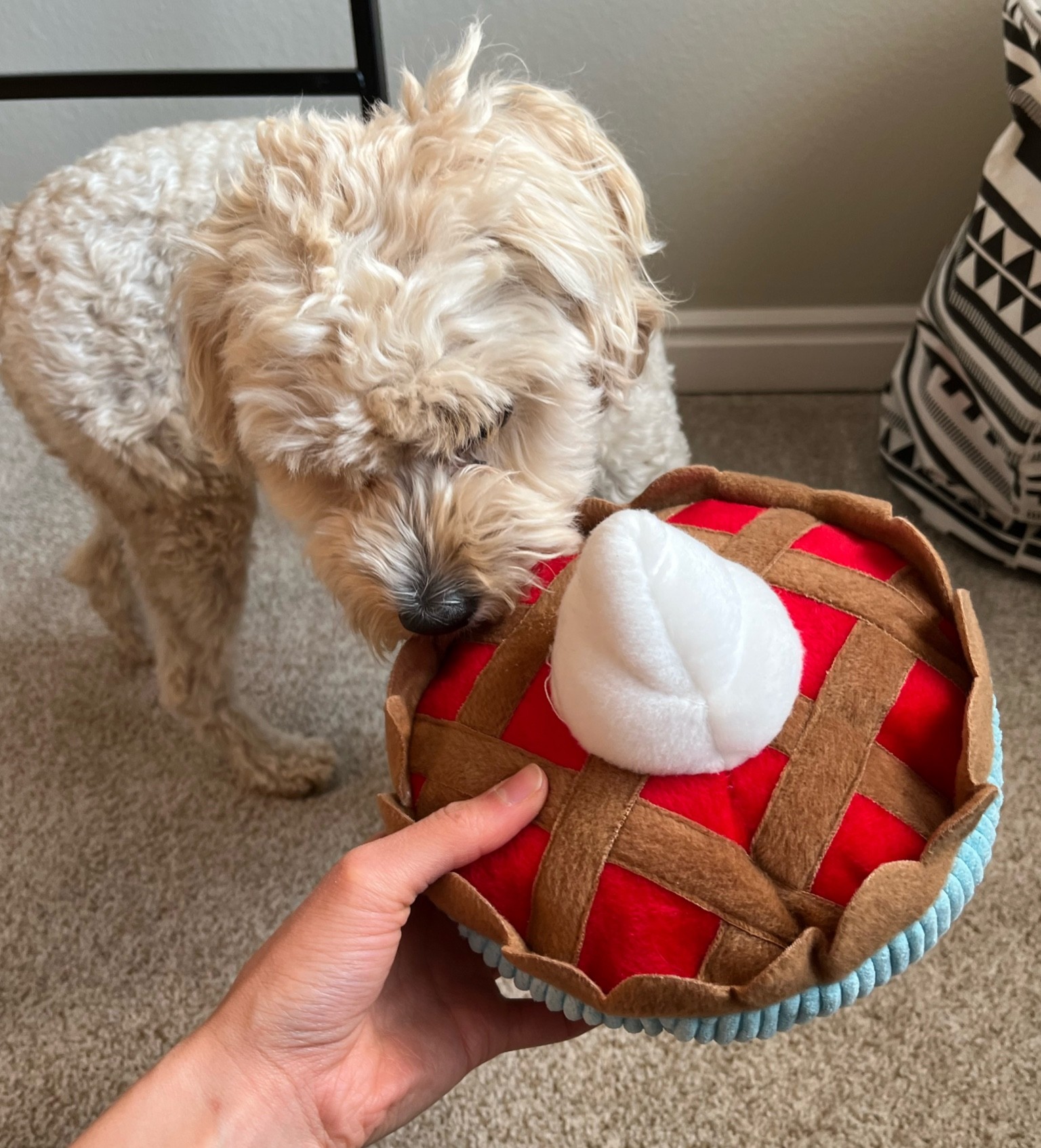 The perfect dog toy for celebrating Thanksgiving dinner! 🦃
#ltkdog #ltkpet #dog #dogtoy #thanksgiving #dogmom

#LTKHoliday #LTKSeasonal