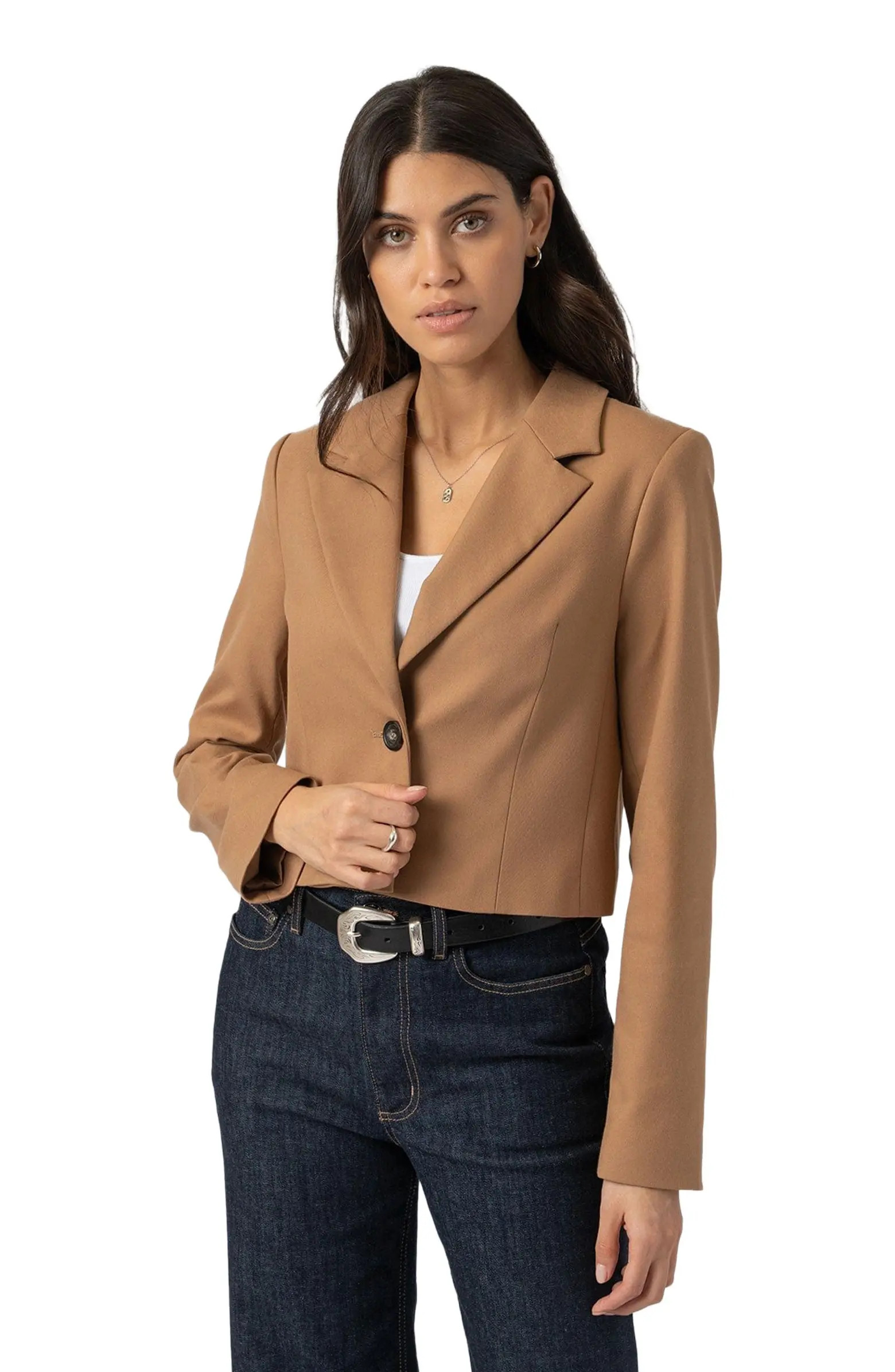 Astrid Crop Blazer | Nordstrom