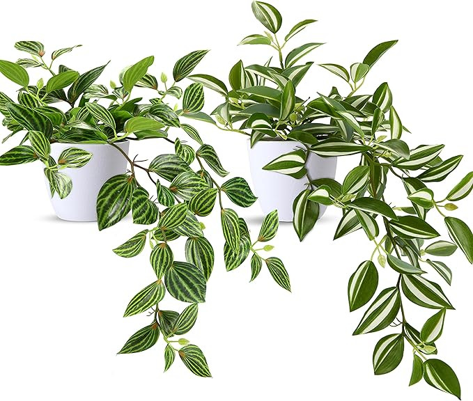 Visit the SOGUYI Store | Amazon (US)