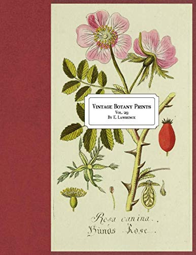 Vintage Botany Prints: Vol. 29 | Amazon (US)