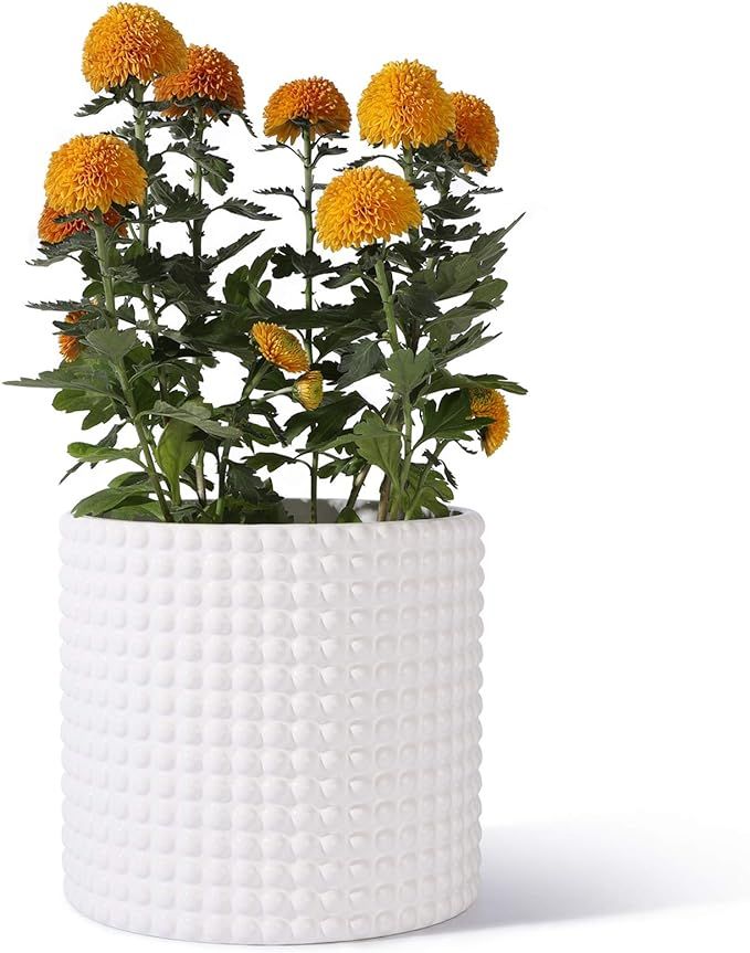 White Planter Pots for Plants Indoor - 8 Inch Ceramic Vintage-Style Hobnail Textured Flower Pot w... | Amazon (US)