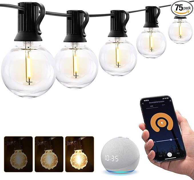 XMCOSY+ Smart Outdoor String Lights, 150Ft G40 Globe Patio Lights with 75 LED Bulbs, WiFi & APP C... | Amazon (US)