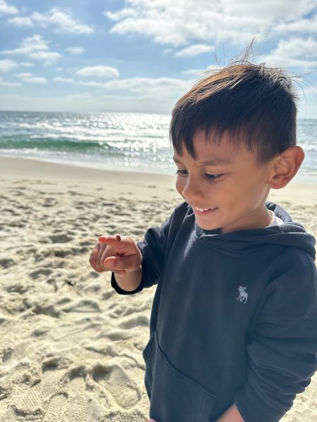 My 5 year old son found a ladybug at the beach 🐞 wearing @abercrombie essential hoodie for boys (5T). runs tts, is warm, comfy, and toddle boy approved!

#LTKkids #LTKfindsunder50 #LTKswim