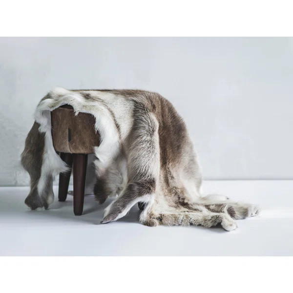 Bladon Reindeer Hide Rug | Wayfair North America
