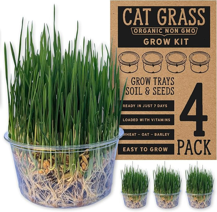 Organic Cat Grass Premium Grow Kit 4 Pack | Non GMO Mixed Heirloom Seeds | Wheatgrass - Oat Grass... | Amazon (US)