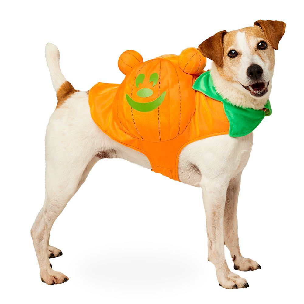 Mickey Mouse Jack-o'-Lantern Glow-in-the-Dark Costume for Pets | Disney Store